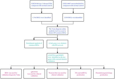 Unveiling the bioinformatic genes and their involved regulatory mechanisms in type 2 diabetes combined with osteoarthritis